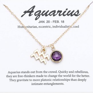 Raw Crystal Zodiac Necklace