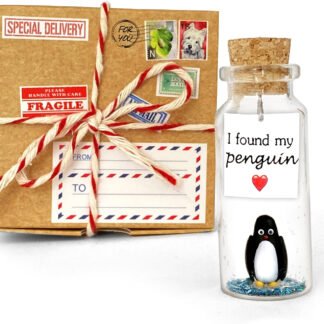 Merry Christmas My Penguin Message in a Bottle