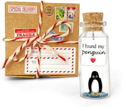 Merry Christmas My Penguin Message in a Bottle