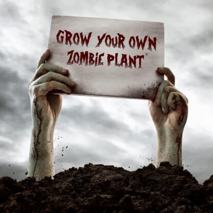 Zombie Plant Seed Packets - Image 7