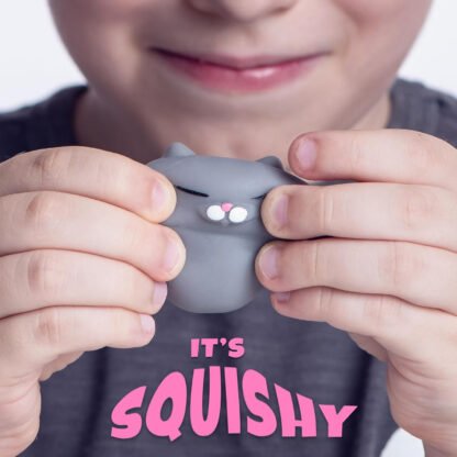 Squishy Cat Set - Image 2