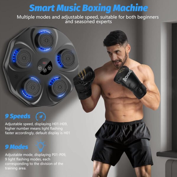 Liteboxer Wall Mounted Boxing - Image 2