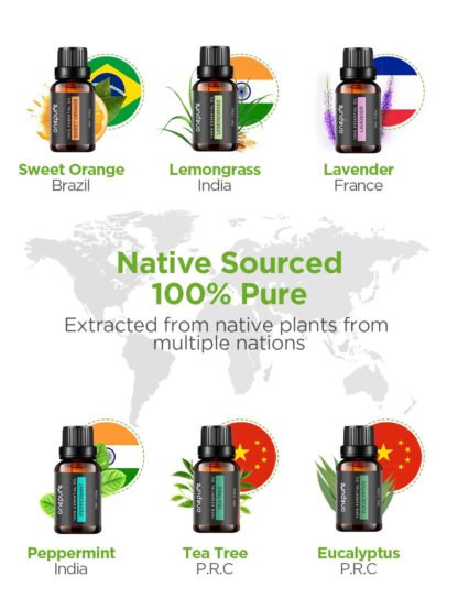 Aromatherapy Oil Diffuser Set - Image 5